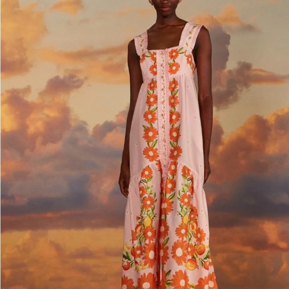 FARM Rio Pink and Orange Floral Maxi Dress